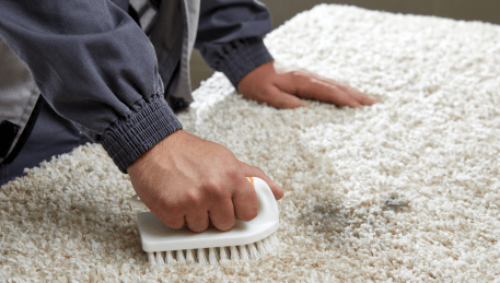 Professional Rug Cleaning Tarrawarra